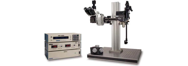 Mikroskop: Sutter Instrument MOM