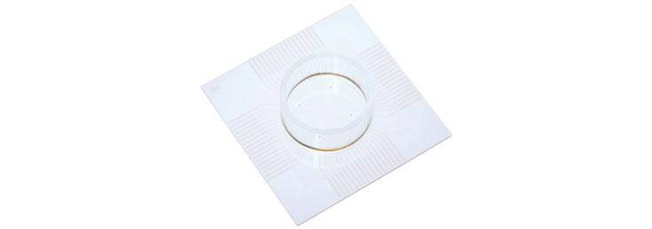 AlphaMED  Standard 8×8 Electrode Array