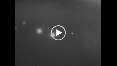 Video: Mightex OASIS Micro