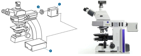 Wavelength-Switchable Mightex Microscope LED Light Source Configuration