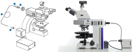 Wavelength-Switchable Mightex Microscope LED Light Source Configuration